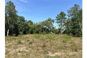 NE 150TH CT, WILLISTON, FL 32696 Sold 07/04/25