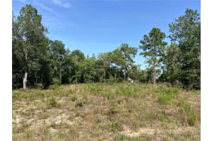 NE 150TH CT, WILLISTON, FL 32696 Sold 07/04/25