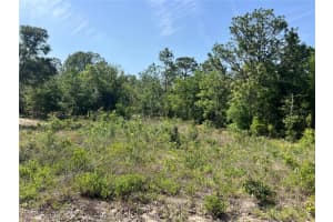15151 3RD PLACE, WILLISTON, FL 32696 Sold 06/11/25