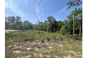 15151 3RD PLACE, WILLISTON, FL 32696 Sold 06/11/25
