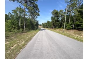 15151 3RD PLACE, WILLISTON, FL 32696 Sold 06/11/25