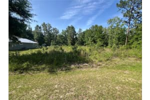 NE 14TH PL, WILLISTON, FL 32696 Sold 06/16/25