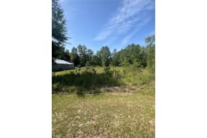 NE 14TH PL, WILLISTON, FL 32696 Sold 06/16/25