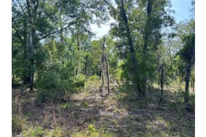 NE 152ND CT, WILLISTON, FL 32696 Sold 09/25/25