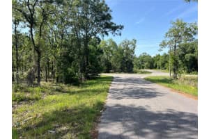 NE 152ND CT, WILLISTON, FL 32696 Sold 09/25/25