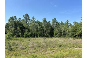 NE 150TH AVE, WILLISTON, FL 32696 Sold 07/07/25