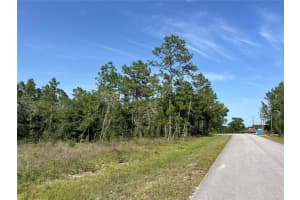 NE 150TH AVE, WILLISTON, FL 32696 Sold 07/07/25