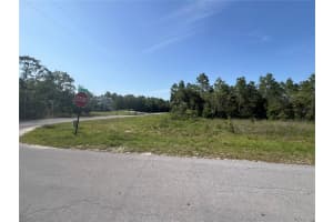 NE 150TH AVE, WILLISTON, FL 32696 Sold 07/07/25