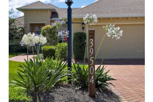 39504 HILLRISE LANE, LADY LAKE, FL 32159 - MLS#MFRG5097449