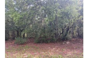 8381 QUARRY DRIVE, CITRUS SPRINGS, FL 34434 Sold 07/17/25