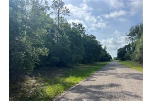 8381 QUARRY DRIVE, CITRUS SPRINGS, FL 34434 Sold 07/17/25