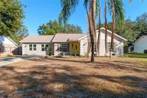 40140 PALM STREET, LADY LAKE, FL 32159 - MLS#MFRG5097467