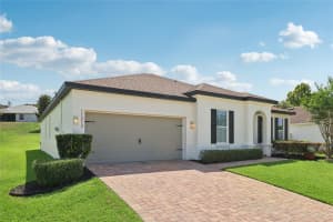 11313 LITTLE NELLIE DRIVE, CLERMONT, FL 34711 - MLS#MFRG5097500