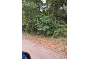146TH PL, FORT MC COY, FL 32134 - MLS#MFRG5097520