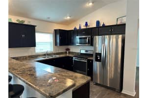 2441 NELLIE ROAD, THE VILLAGES, FL 32163 - MLS#MFRG5097543