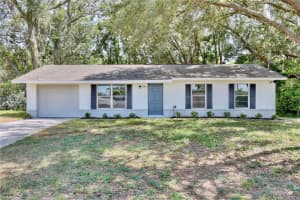 1228 PADGETT CIRCLE, LADY LAKE, FL 32159 Sold 07/15/25
