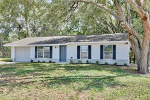 1228 PADGETT CIRCLE, LADY LAKE, FL 32159 Sold 07/15/25
