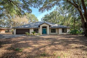 3930 Griffin Ave, LADY LAKE