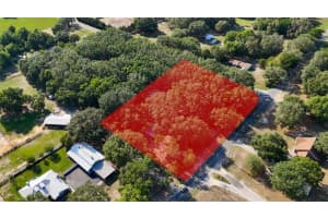3930 GRIFFIN AVENUE, LADY LAKE, FL 32159 - MLS#MFRG5097568
