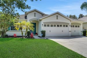 30532 Gidran Ter, MOUNT DORA