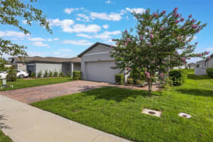 29810 ANAHID DR, LEESBURG, FL 34748 - MLS#MFRG5097715