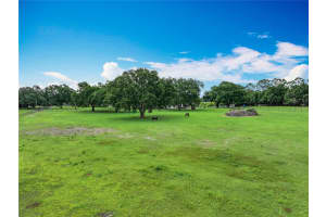 17670 283RD AVENUE, UMATILLA, FL 32784 - MLS#MFRG5097779