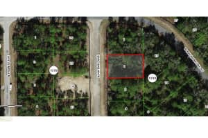 10965 MATARO AVENUE, CITRUS SPRINGS, FL 34434 - MLS#MFRG5097790