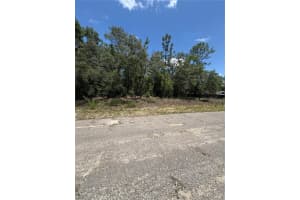 10965 MATARO AVENUE, CITRUS SPRINGS, FL 34434 - MLS#MFRG5097790