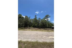 10965 MATARO AVENUE, CITRUS SPRINGS, FL 34434 - MLS#MFRG5097790