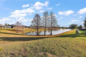 5046 HARBOUR DRIVE, OXFORD, FL 34484 - MLS#MFRG5097842