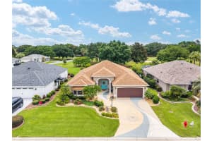 219 CARRERA DRIVE, THE VILLAGES, FL 32159 - MLS#MFRG5097906