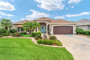 219 CARRERA DRIVE, THE VILLAGES, FL 32159 - MLS#MFRG5097906