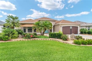219 CARRERA DRIVE, THE VILLAGES, FL 32159 - MLS#MFRG5097906