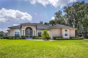 29152 David Ct, TAVARES