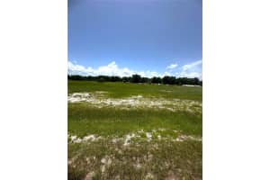 38793 RANCH GATE BOULEVARD, UMATILLA, FL 32784 Sold 09/18/25