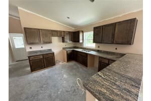 891 CR 482C, LAKE PANASOFFKEE, FL 33538 - MLS#MFRG5098085