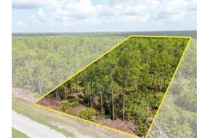 LOT 62 MEADOW LARK BOULEVARD, INDIAN LAKE ESTATES, FL 33855 - MLS#MFRG5098096