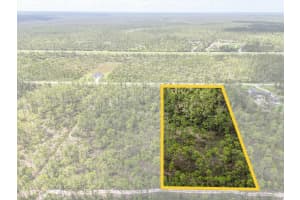 LOT 62 MEADOW LARK BOULEVARD, INDIAN LAKE ESTATES, FL 33855 - MLS#MFRG5098096