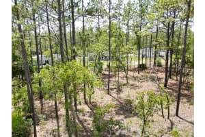 0000 157TH AVENUE, OCALA, FL 34481 - MLS#MFRG5098111