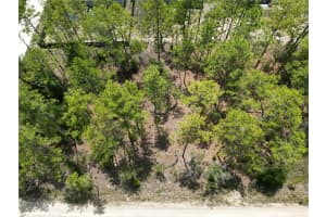 0000 157TH AVENUE, OCALA, FL 34481 - MLS#MFRG5098111