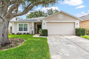2336 Martins Run, TAVARES