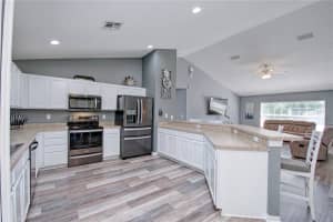 1132 HILL MOUNT DRIVE, MINNEOLA, FL 34715 Sold 08/21/25
