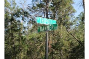 6640 TRIPOLI TERRACE, DUNNELLON, FL 34433 Sold 07/15/25
