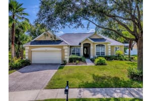 359 BLUE BRANCH STREET, EUSTIS, FL 32736 Sold 07/31/25