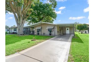 1005 RICHARD DRIVE, LADY LAKE, FL 32159 - MLS#MFRG5098184