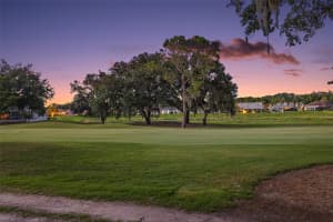 13 HICKORY HEAD HAMMOCK, THE VILLAGES, FL 32159 Sold 09/15/25