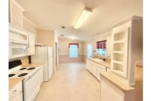 2585 KAREN DRIVE, MOUNT DORA, FL 32757 - MLS#MFRG5098299