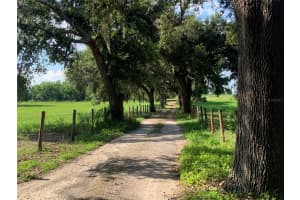 2530 SHADY LANE, GROVELAND, FL 34736 - MLS#MFRG5098313