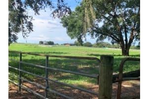 2530 SHADY LANE, GROVELAND, FL 34736 - MLS#MFRG5098313