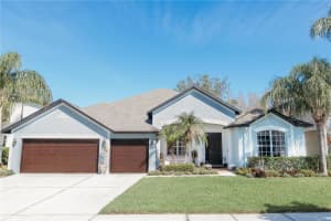 26620 Shoregrass Dr, WESLEY CHAPEL